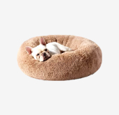 dog beds